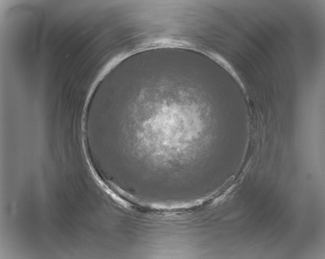 X0000054371381200508191835