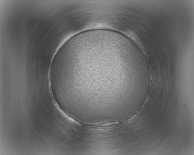 X0000054371382200508191835