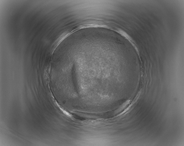 X0000054371385200508191835