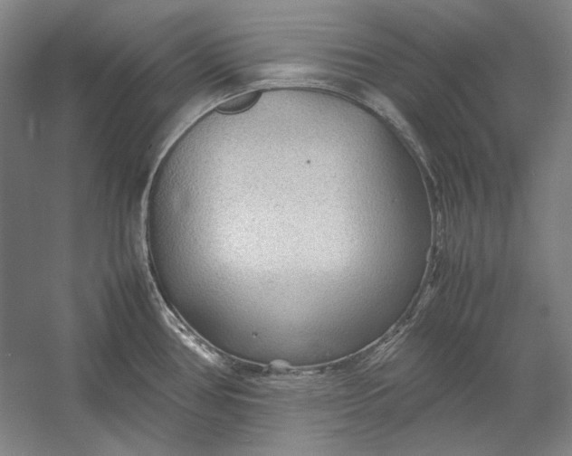 X0000054371386200508191835