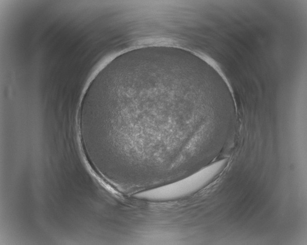 X0000054371389200508191835