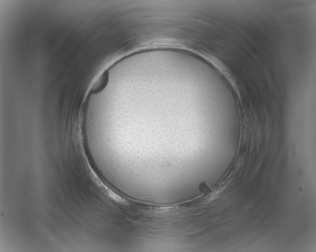 X0000054371390200508191835