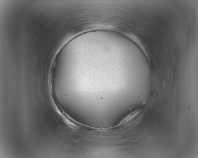 X0000054371391200508191835