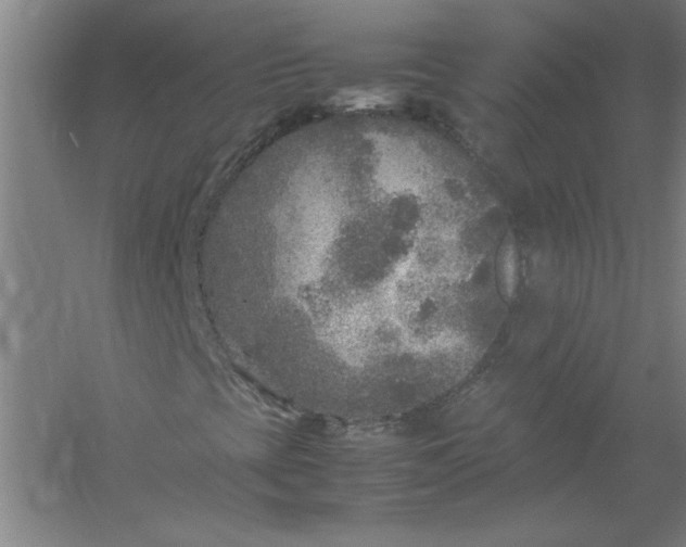 X0000054371393200508191834