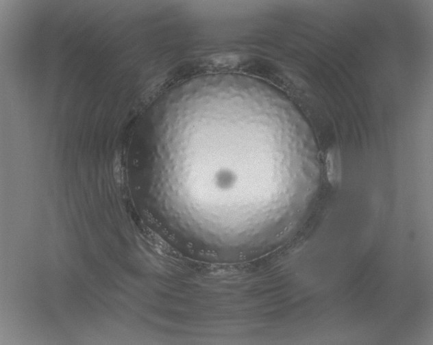 X0000054371395200508191834