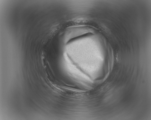 X0000054371396200508191834