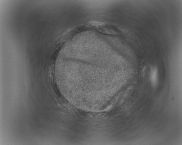 X0000054371397200508191834