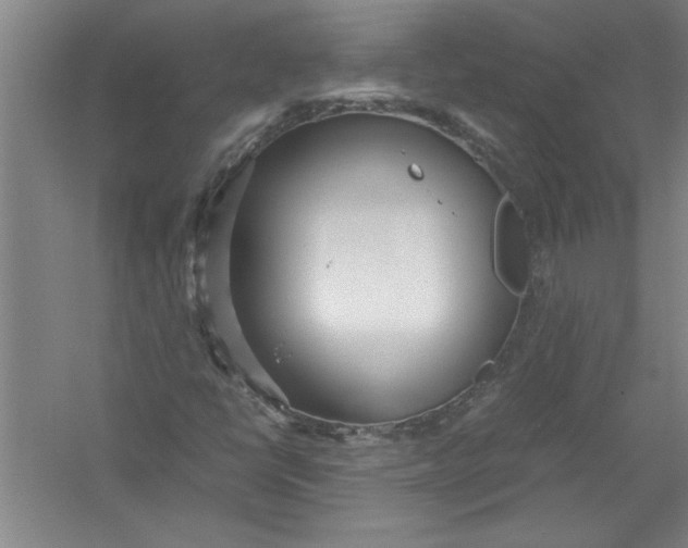 X0000054371398200508191834