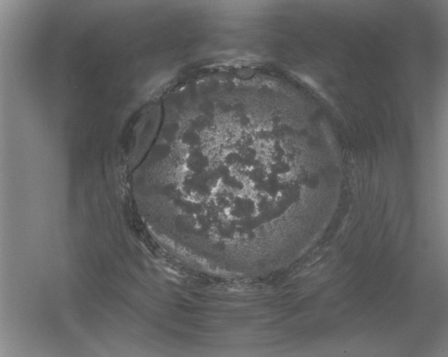 X0000054371399200508191834