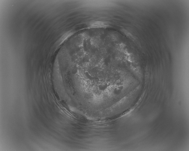 X0000054371401200508191834