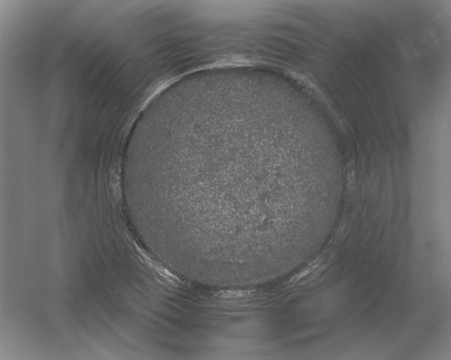 X0000054371409200508191834