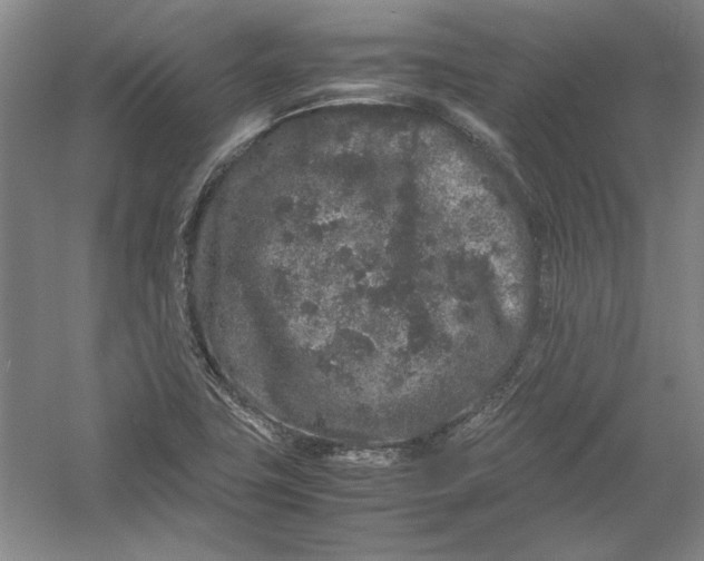 X0000054371411200508191834