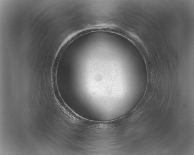 X0000054371412200508191834