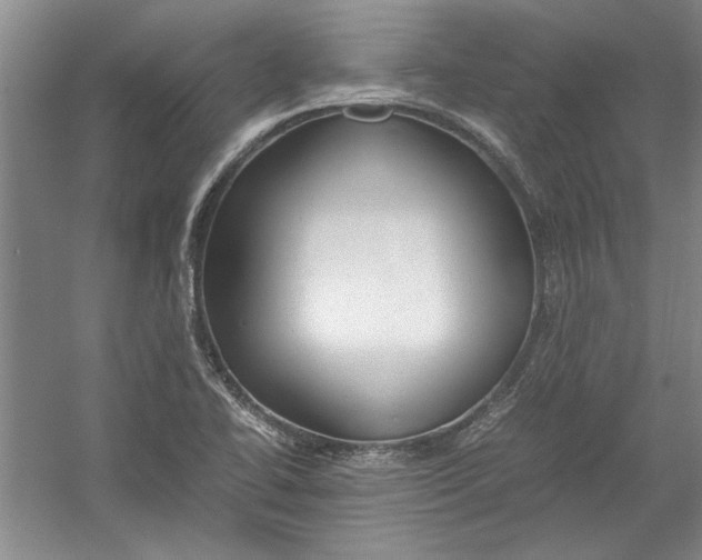 X0000054371414200508191834