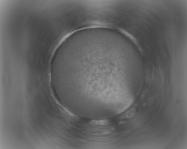 X0000054371415200508191834