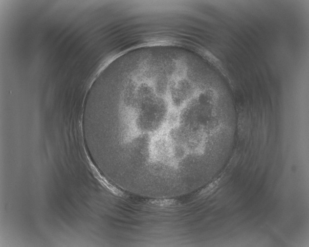 X0000054371417200508191834