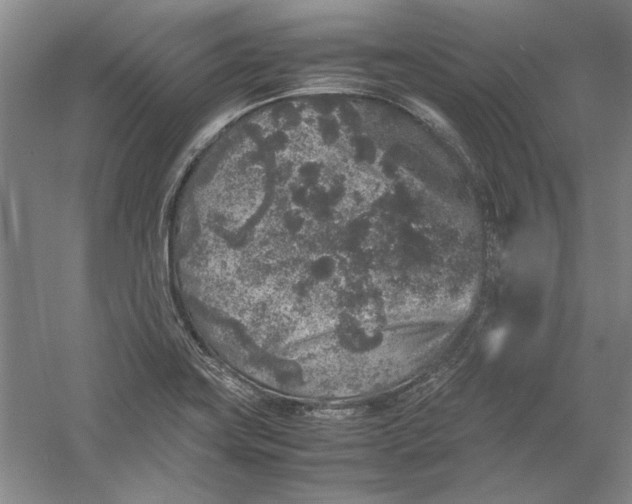 X0000054371419200508191834