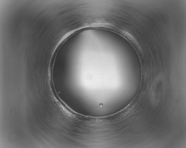 X0000054371420200508191834