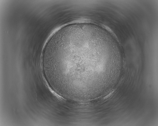 X0000054371421200508191834