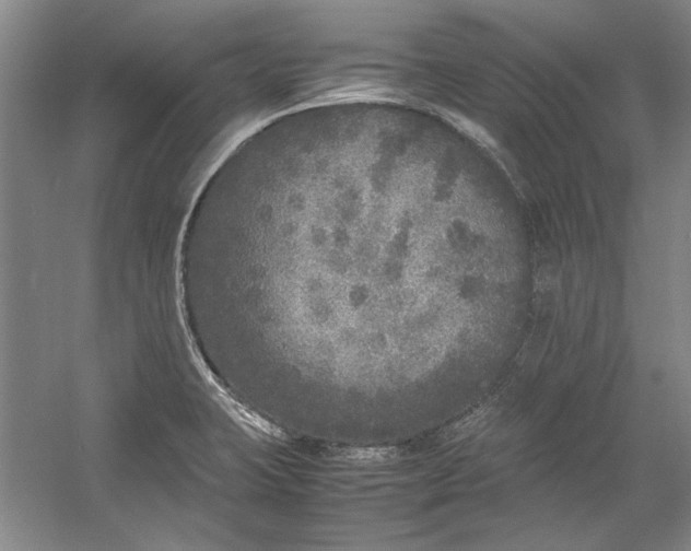 X0000054371423200508191834