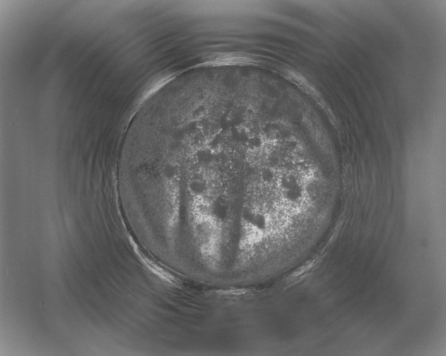 X0000054371425200508191834