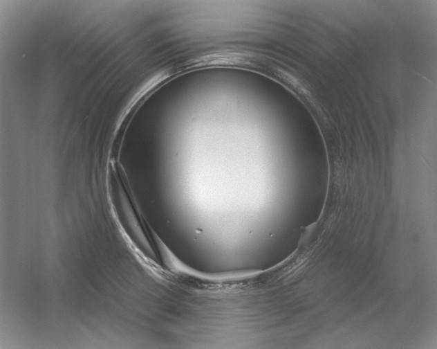 X0000054371426200508191834