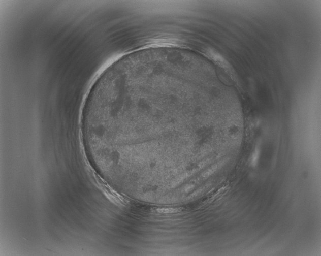 X0000054371427200508191835