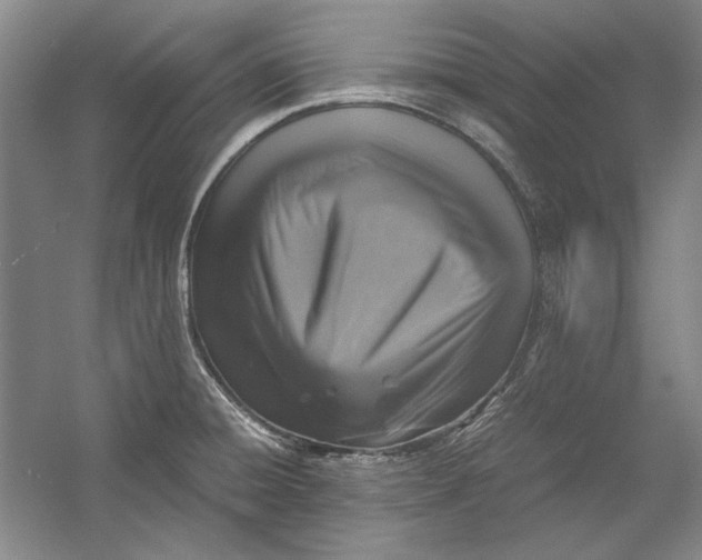 X0000054371428200508191835