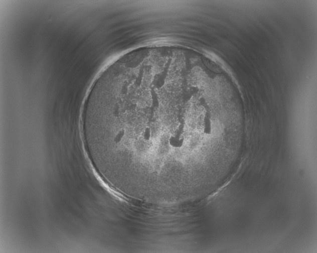 X0000054371429200508191835