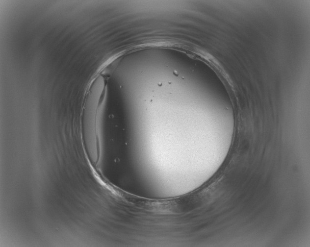 X0000054371433200508191835