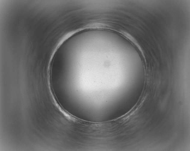 X0000054371437200508191835