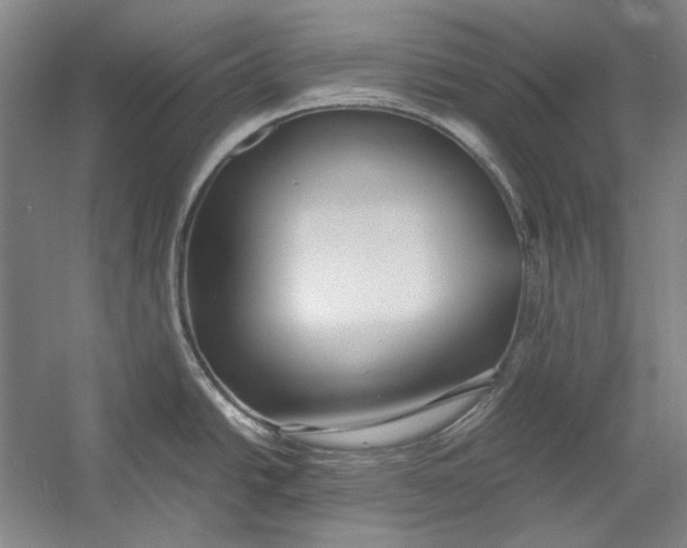 X0000054371438200508191835