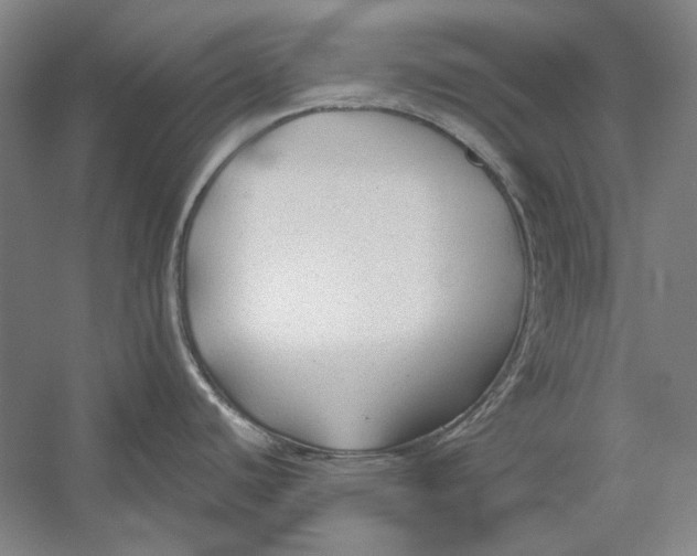 X0000054371440200508191835