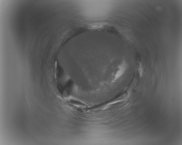 X0000054371441200508191834