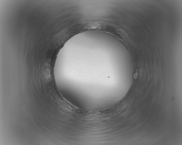 X0000054371442200508191834