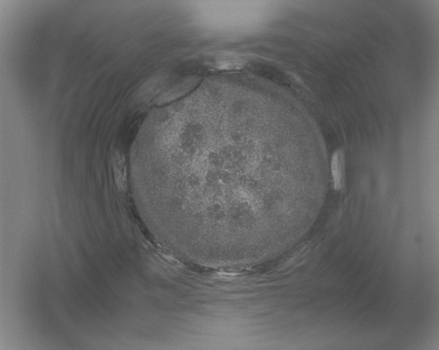 X0000054371443200508191834