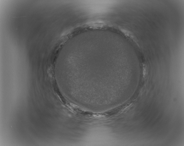 X0000054371445200508191834