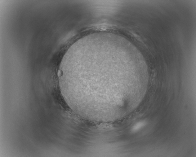 X0000054371446200508191834