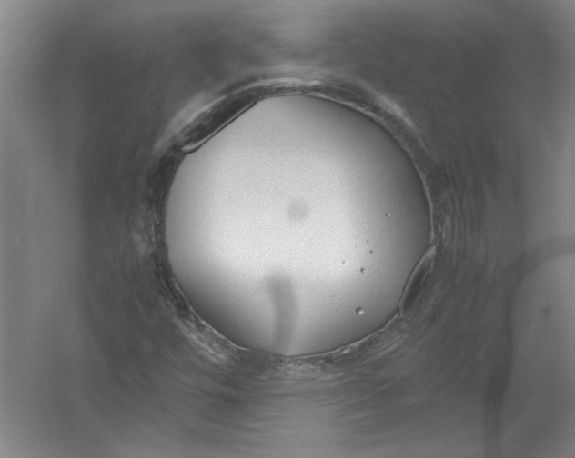 X0000054371448200508191834