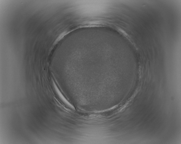 X0000054371449200508191834