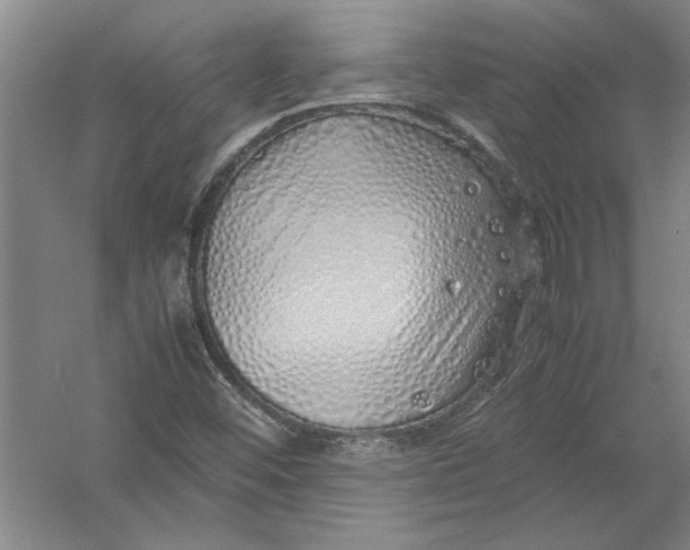 X0000054371452200508191834