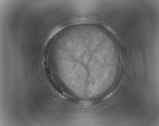 X0000054371453200508191834