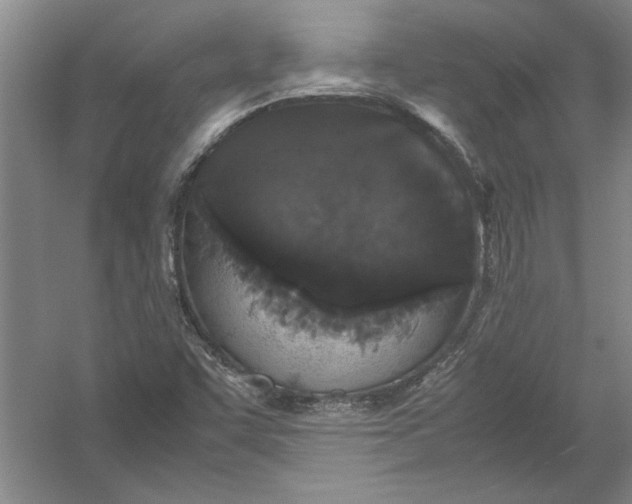 X0000054371455200508191834