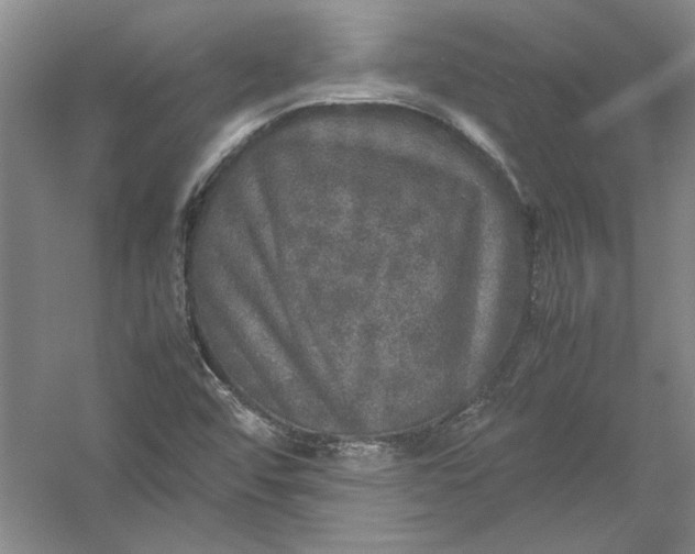 X0000054371456200508191834