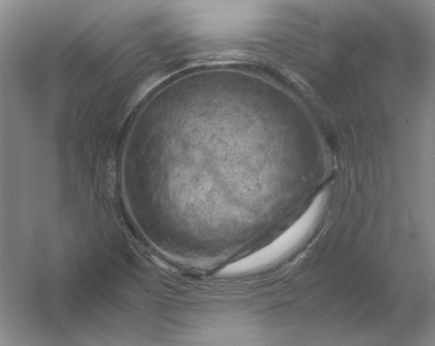 X0000054371457200508191834