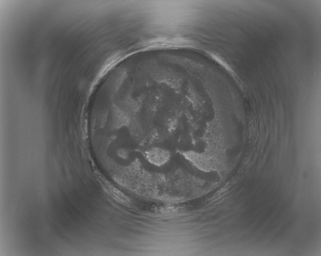 X0000054371459200508191834