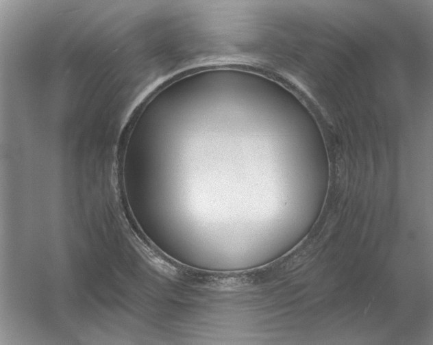 X0000054371460200508191834