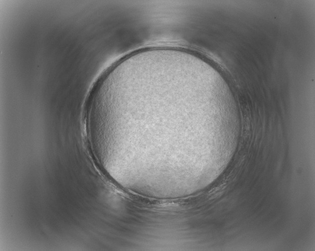 X0000054371462200508191834