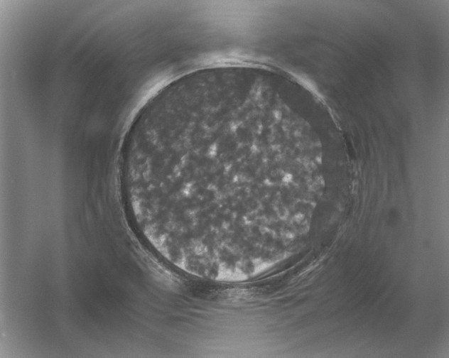 X0000054371463200508191834