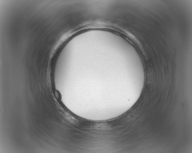 X0000054371464200508191834